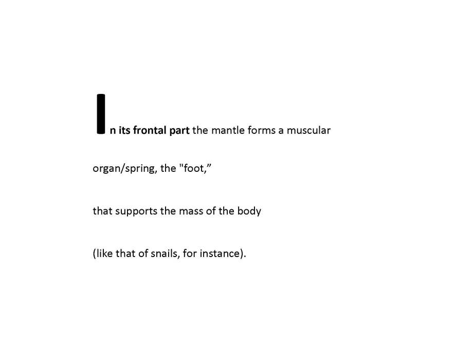 fishing-for-zebadee_page_50