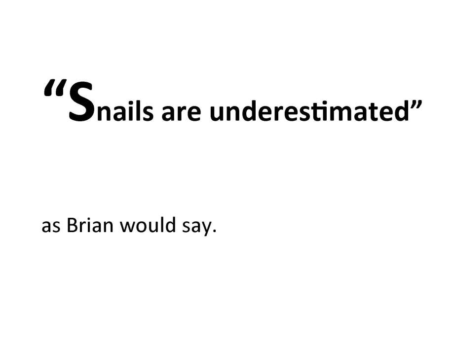 fishing-for-zebadee_page_51