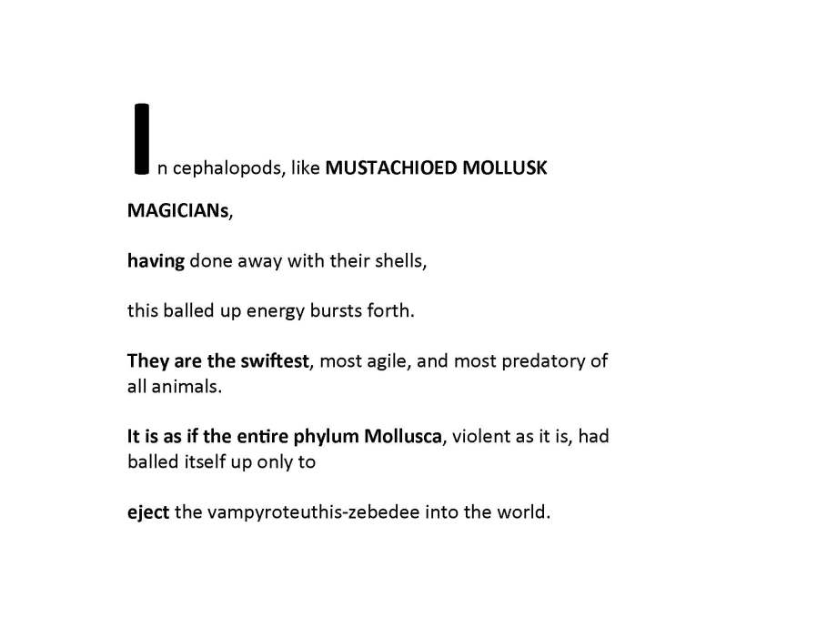 fishing-for-zebadee_page_56