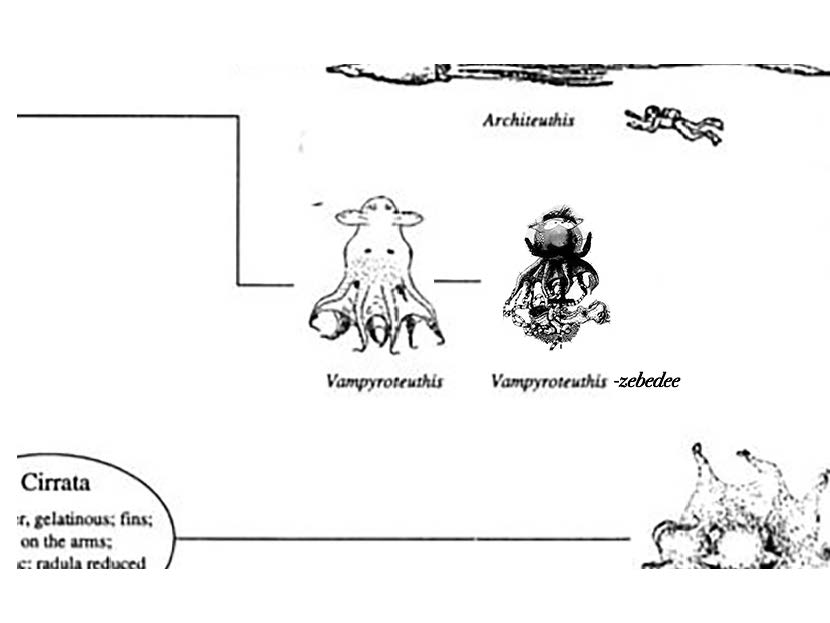 fishing-for-zebadee_page_58