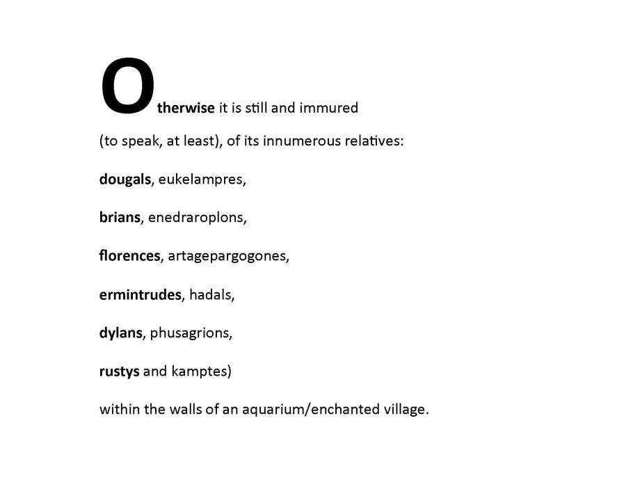 fishing-for-zebadee_page_70