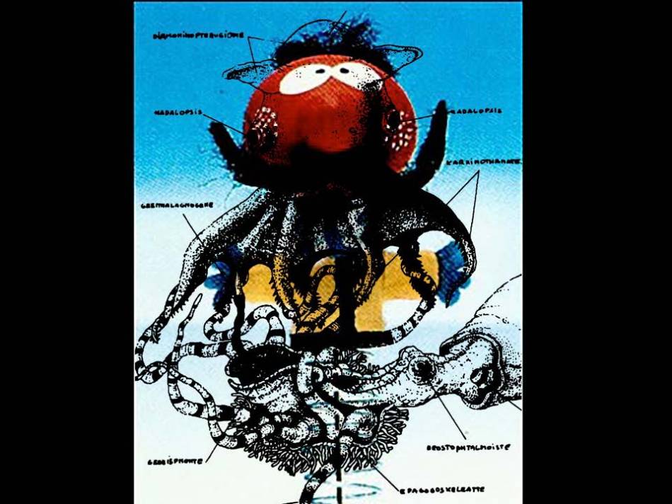 fishing-for-zebadee_page_72