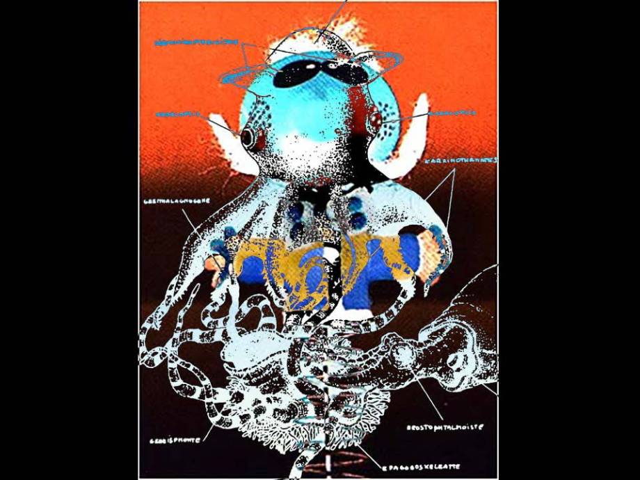 fishing-for-zebadee_page_73